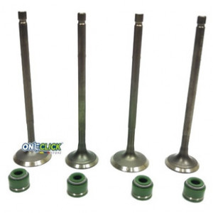 Kit Engine Valve