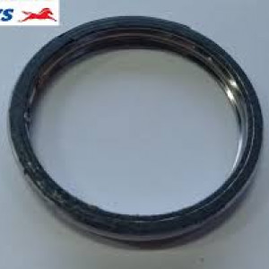 Gasket muffler